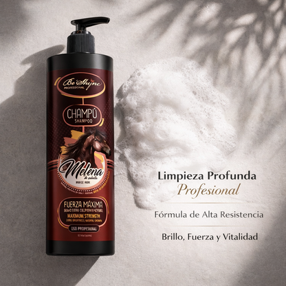 Be´Shyne - Champú Melenas con Biotina y Pantenol para todo tipo de cabello 1L